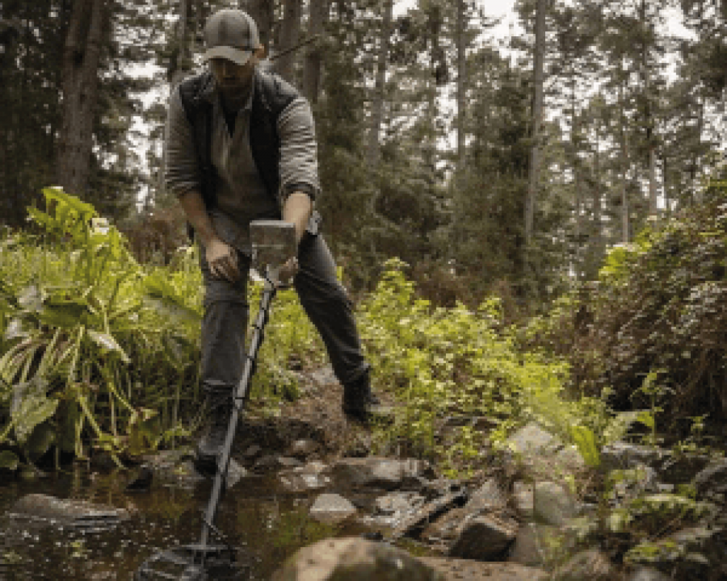Metalldetektion im Wald